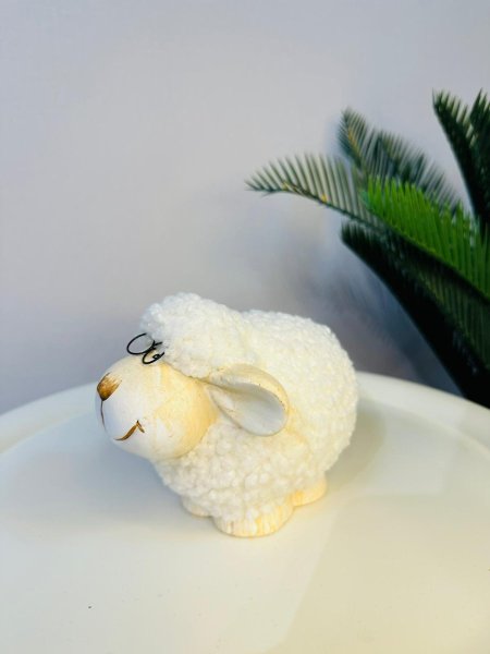 تحف خاروف صوف (3)